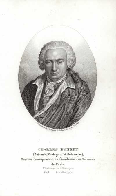 Charles Bonnet tekijältä Jens Juel