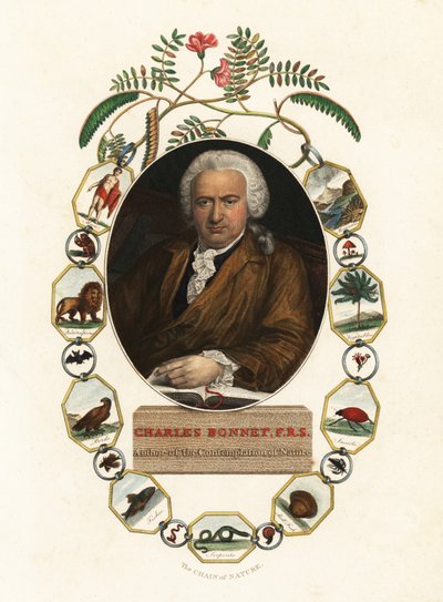 Geneven luonnontieteilijä Charles Bonnet