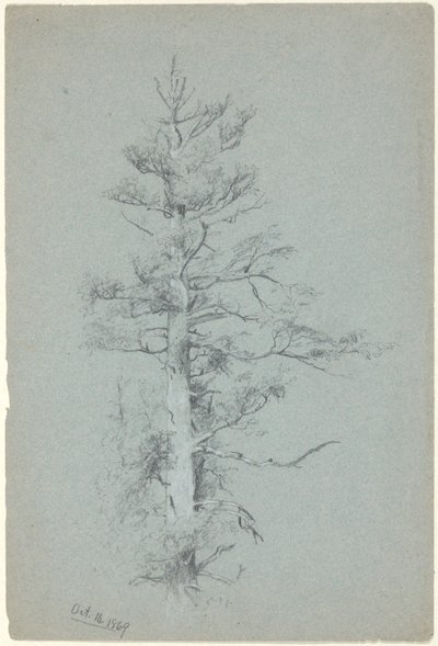 Puututkimus tekijältä Jervis McEntee