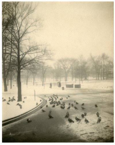 Boston Common, Boston, USA, n. 1902–1910 tekijältä Jessie Tarbox Beals