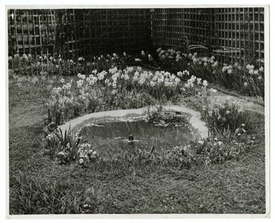 Garden of Mr & Mrs Wm H Wells 265 W 11th St, New York, USA tekijältä Jessie Tarbox Beals