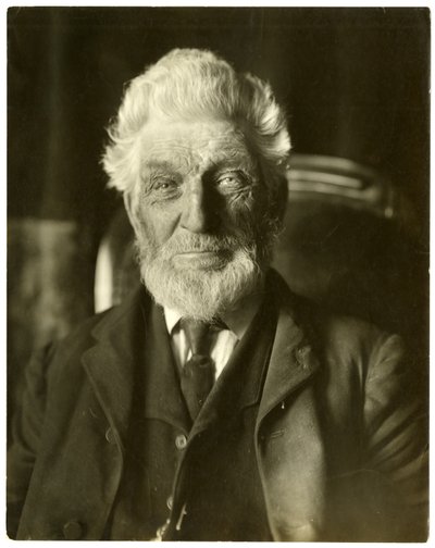 Herra Messenger, mehiläismies, n. 1905-1909 tekijältä Jessie Tarbox Beals