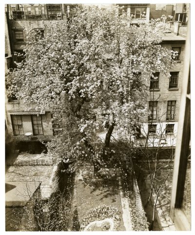 Mrs W H Wells 265 W 11th tekijältä Jessie Tarbox Beals