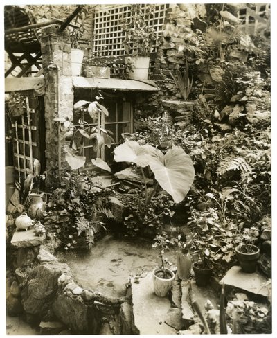 Allas, jossa on terassi George ja Mary Stonehillin koti, Greenwich Village, New York, USA, n. 1936-37 (gelatiinihopeakuva) tekijältä Jessie Tarbox Beals