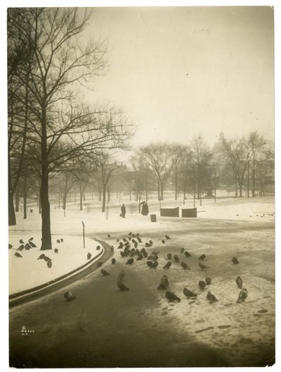 Harvinaisen kylmä Commonissa, Boston, USA, noin 1902-10 (gelatiinihopeakuva). tekijältä Jessie Tarbox Beals