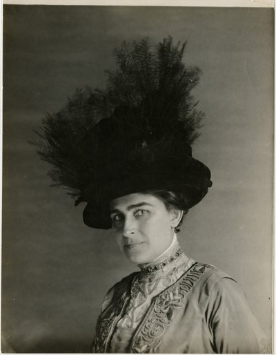 lähikuva höyhenhatusta, n. 1905-1918 (gelatiinihopea kuva) tekijältä Jessie Tarbox Beals
