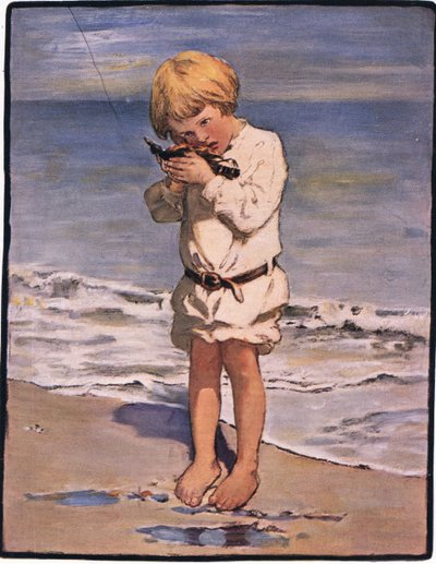 Billy Boysin löytö oli lokki, jolla oli loukkaantunut siipi (väri litho) tekijältä Jessie Willcox Smith
