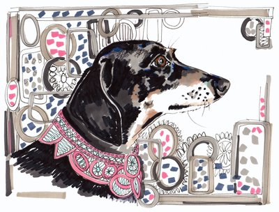 Lacey The Dachshund, 2013, (kynä, muste paperille) tekijältä Jo Chambers
