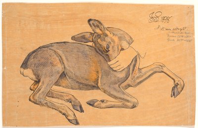 Makaavan takaosan tutkimus. Käsi tarttuu siihen kuonon ympärille tekijältä Joakim Frederik Skovgaard