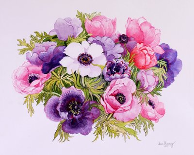 Anemones, 2001, vesiväri käsintehdylle paperille tekijältä Joan Thewsey