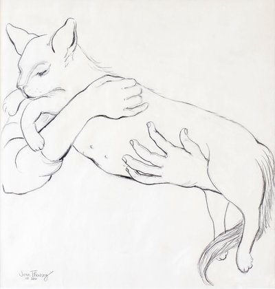 Pehmokissa, 2000, (lyijykynä) tekijältä Joan Thewsey