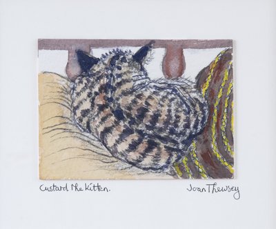 Custard kissanpentu,2005,(lyijykynä ja vesiväri) tekijältä Joan Thewsey