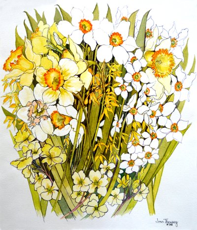 Narsissit, Narsissit, Forsythia ja Primroses, 2000 tekijältä Joan Thewsey