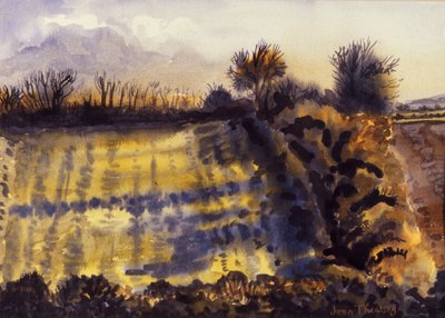 Field with Long Shadows, 1990, vesiväri käsintehdylle paperille tekijältä Joan Thewsey