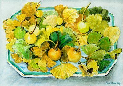 Ginkgo, hedelmät ja lehdet, 2010, akvarelli tekijältä Joan Thewsey