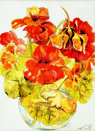 Nasturtiums,2005,(vesiväri) tekijältä Joan Thewsey
