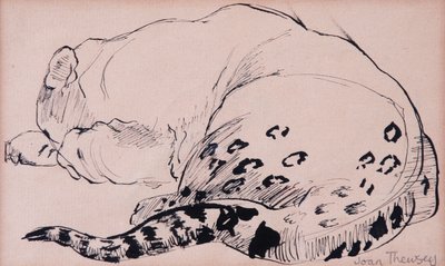 Luonnos,Leopardi,Lontoon eläintarha 2005, (kynä ja muste) tekijältä Joan Thewsey