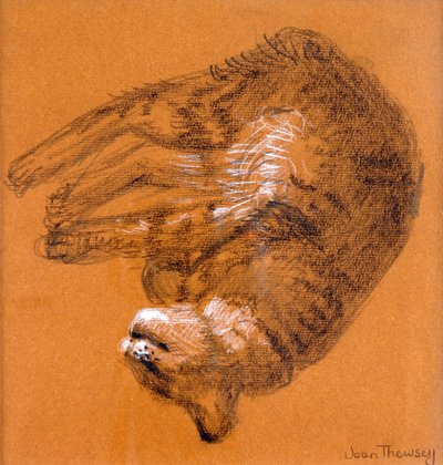 Sleeping Tabby Cat,2005,(grafiitti ja valkoinen pastelli) tekijältä Joan Thewsey