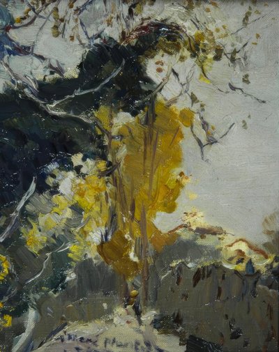 Baum tekijältä Joaquim Mir i Trinxet