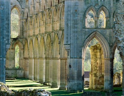 Rievaulx Abbey, 1990-2010 tekijältä Joe Cornish