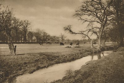 Missä Beverley Brook tuulee Richmondin kuninkaallisen metsästyspuiston läpi, vuodelta 1935. tekijältä Joel