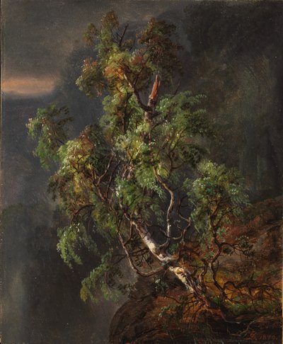 Koivu myrskyssä tekijältä Johan Christian Dahl