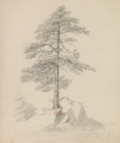 Mänty ja kallioita tekijältä Johan Christian Dahl