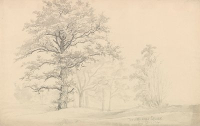 Lehtipuut tekijältä Johan Christian Dahl
