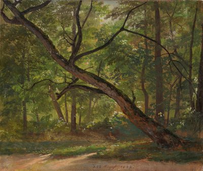 Näkymä Dresdenin suuressa puutarhassa tekijältä Johan Christian Dahl