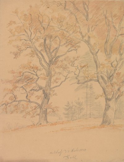  tekijältä Johan Christian Dahl