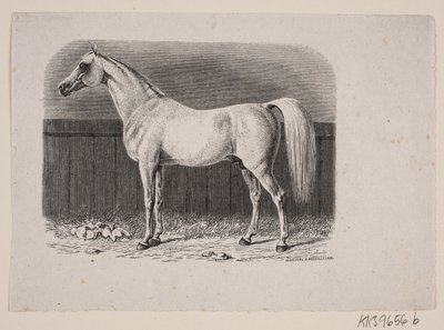 Hevonen tekijältä Johan Frederik Rosenstand