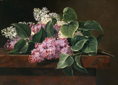 Lila reunalla, tekijältä Johan Laurents Jensen
