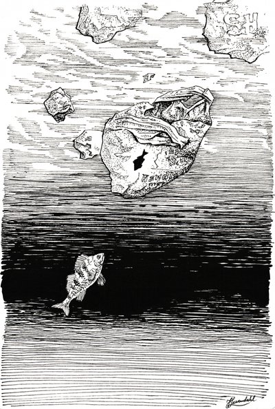 Kalat muovin alla tekijältä Johan Liewendahl