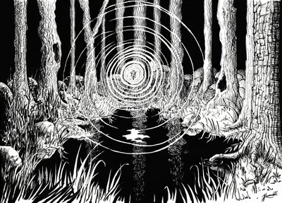 Mystisen metsän aallot tekijältä Johan Liewendahl