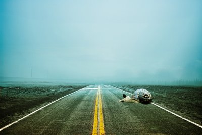 2020 way back, 2020 (digitaalinen valokuvataide) tekijältä Johan Lilja