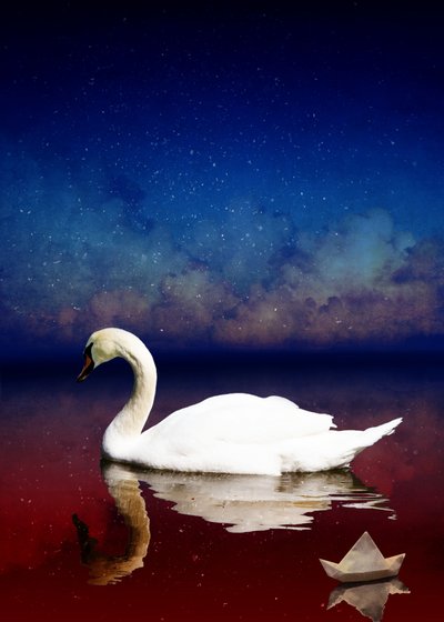 Bird Kingdom 4, 2018 (digitaalinen valokuvataide) tekijältä Johan Lilja