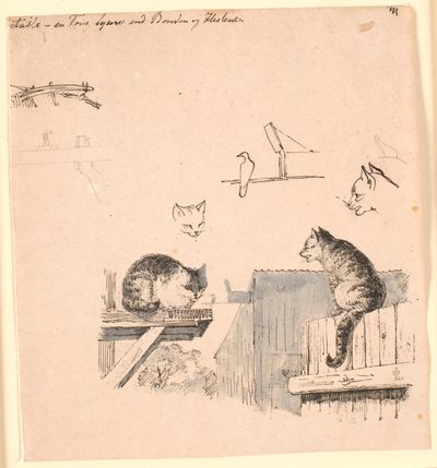 Kaksi kissaa. F.o. tutkimuksia kissan päistä, linnusta, kissan korvasta ja palkin työstä. Kuvitus Kaalundin "Fables for Children" -kirjaan. Katso kommentti arkkiluettelosta. tekijältä Johan Thomas Lundbye