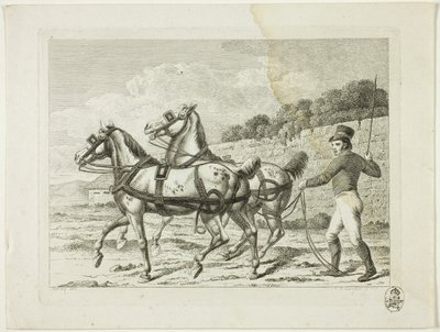Ratsastuskoulu ja hevoset tekijältä Johann Adolph Darnstedt