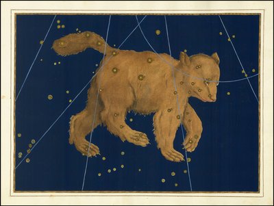 Johann Bayer, Ursa Major tekijältä Johann Bayer