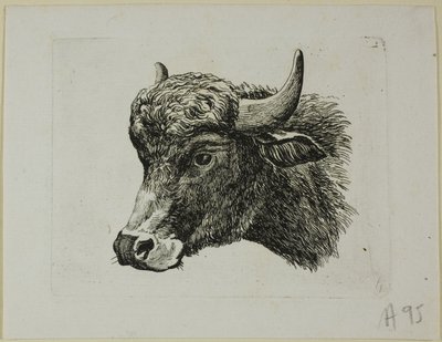 Buffalo-pää vasemmalle, Die Zweite Thier Folge tekijältä Johann Christian Reinhart