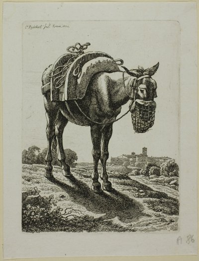 Feeding Mule - Front, The Second Succession of Thieves tekijältä Johann Christian Reinhart