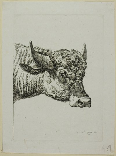 Buffalon päällikkö, Die Zweite Thiernahmesta tekijältä Johann Christian Reinhart