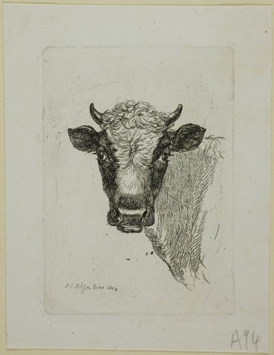 Nuoren härän johtaja Die Zweite Thiernahmesta tekijältä Johann Christian Reinhart
