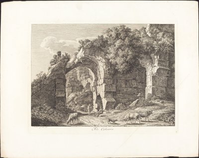 Colosseumissa tekijältä Johann Christian Reinhart