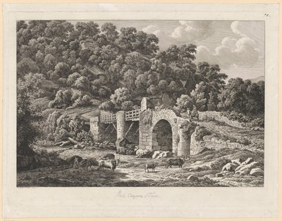 Maisema - Ponte Acquoria Tivolissa tekijältä Johann Christian Reinhart