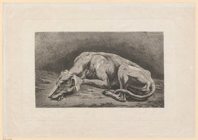 Nukkuva vinttikoira tekijältä Johann Christian Reinhart