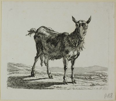 Standing Goat, Die Zweite Thiernahme tekijältä Johann Christian Reinhart