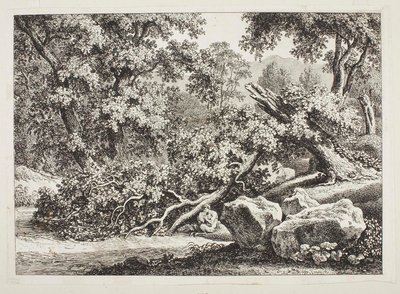 Metsämaisema, jossa on katkennut tammi tekijältä Johann Christian Reinhart