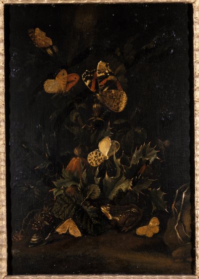 Kukat perhosilla ja rupikonnalla (öljy tammipuulle) tekijältä Johann Christian Thomas Winck