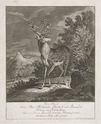 Upea polttarit maisemassa tekijältä Johann Elias Ridinger